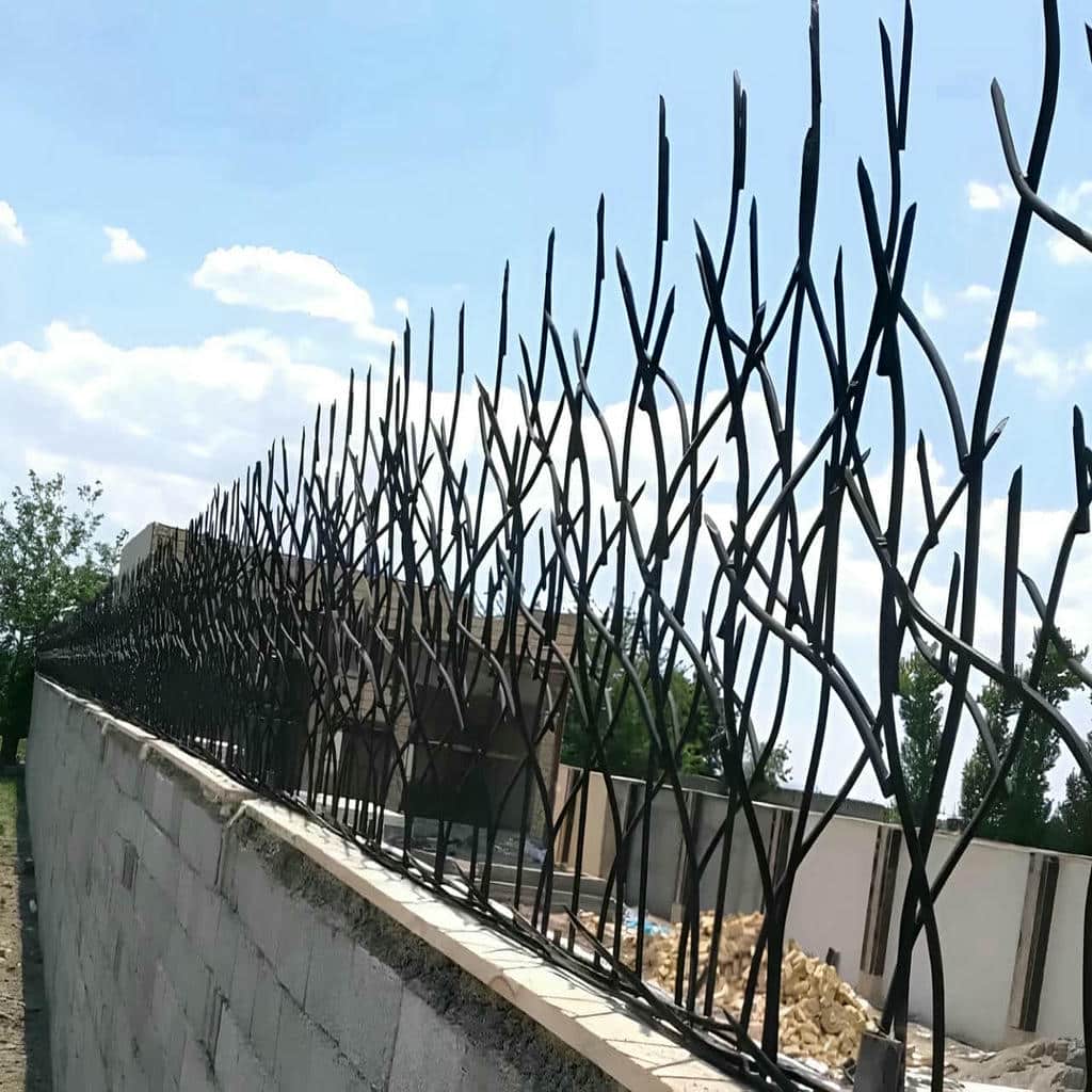 حفاظ شاخ گوزنی در بندر دیلم