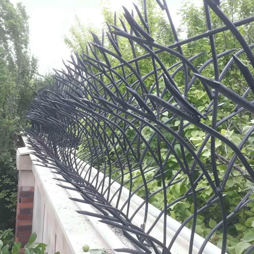 قیمت حفاظ شاخ گوزنی میلگرد ضخیم در محمدشهر قیمت حفاظ شاخ گوزنی میلگرد ضخیم در محمدشهر
