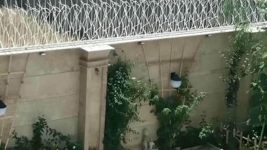 حفاظ شاخ گوزنی در پردیس