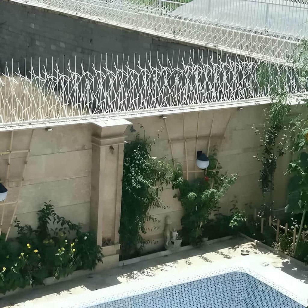 حفاظ شاخ گوزنی در پردیس