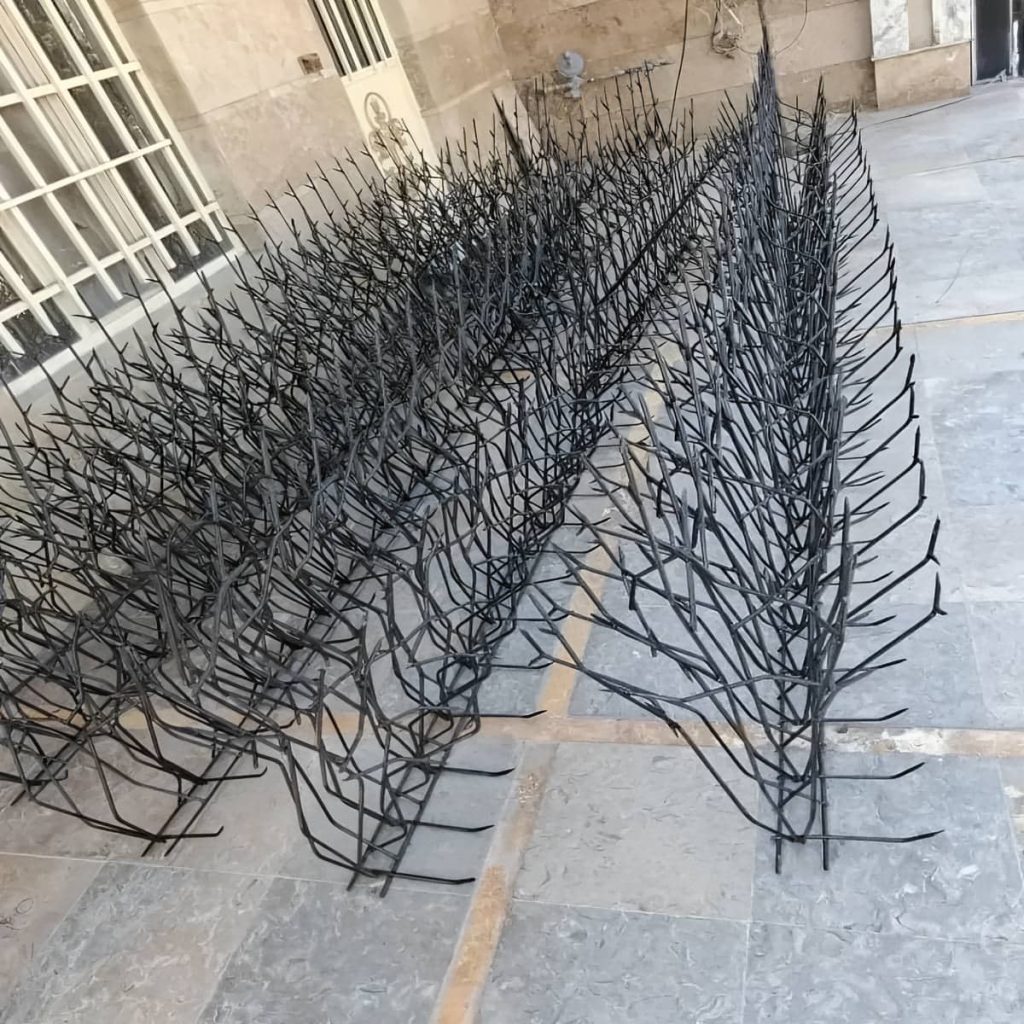 نصب حفاظ شاخ گوزنی حفاظ دیوار ساختمان در کرمان نصب حفاظ شاخ گوزنی حفاظ دیوار ساختمان در کرمان