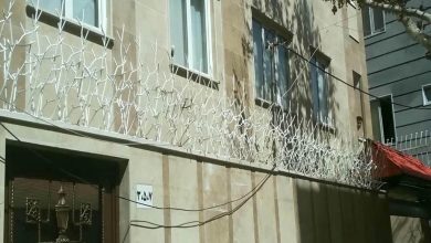 حفاظ شاخ گوزنی در نظرآباد