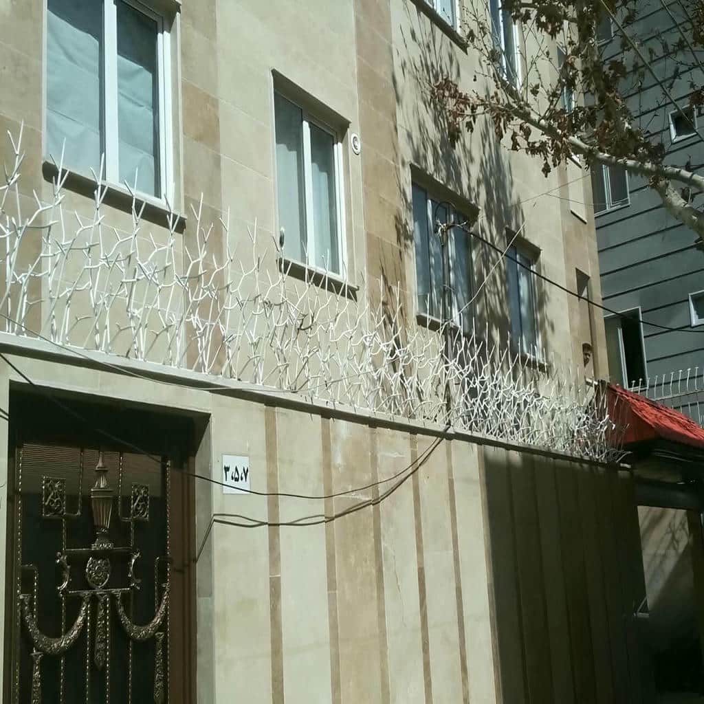 حفاظ شاخ گوزنی در نظرآباد