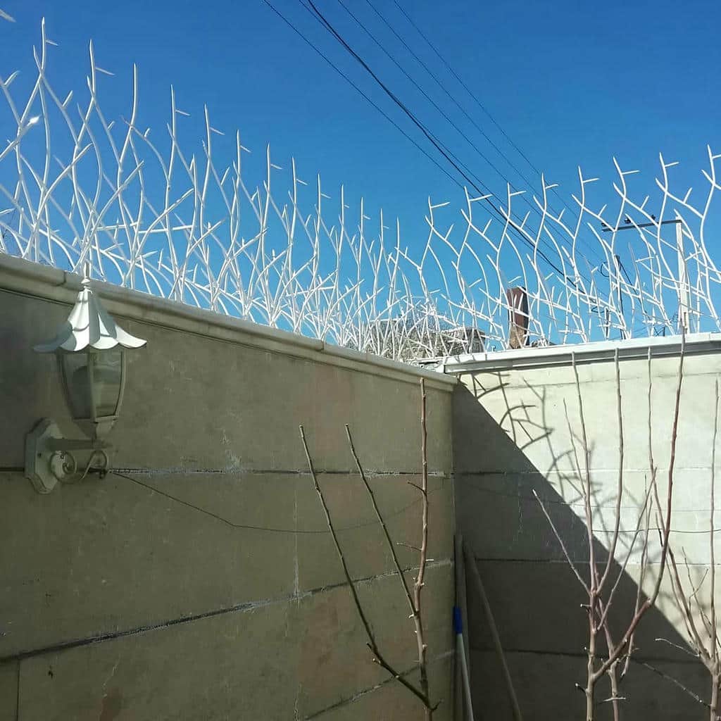 خرید حفاظ شاخ گوزنی حفاظ روی دیوار در ایرانشهر