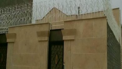 حفاظ شاخ گوزنی در همدان