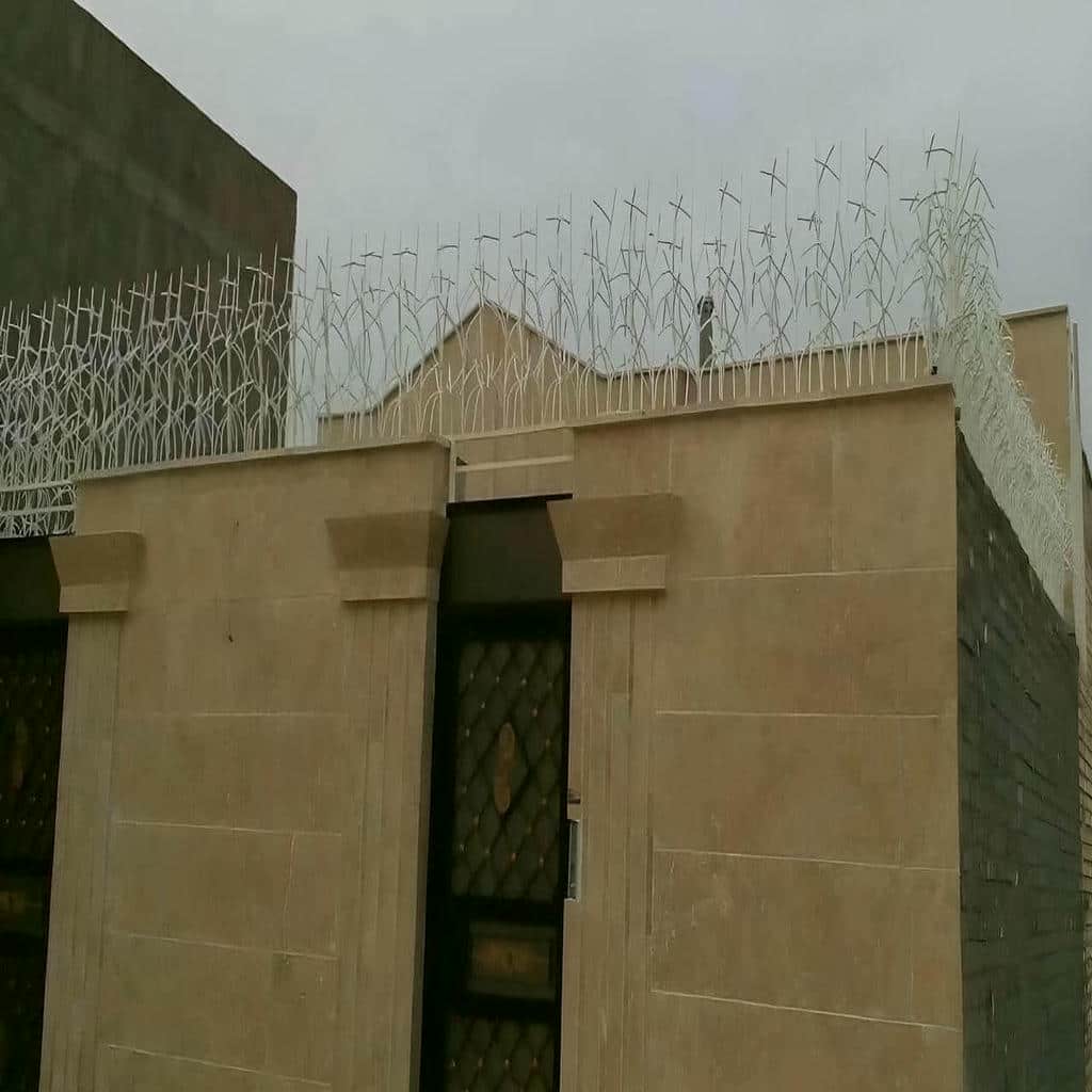حفاظ شاخ گوزنی در همدان