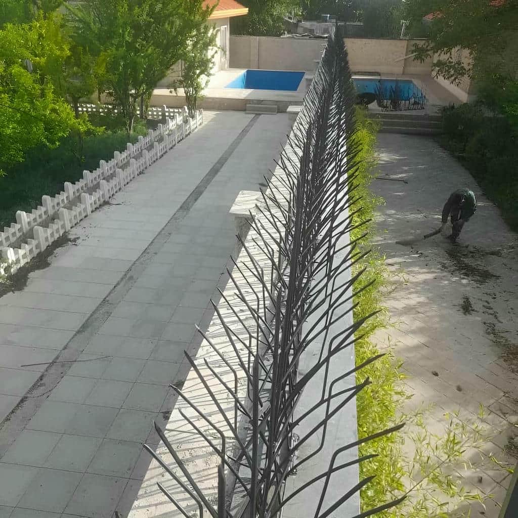 قیمت حفاظ شاخ گوزنی نرده شاخ گوزنی در رشت قیمت حفاظ شاخ گوزنی نرده شاخ گوزنی در رشت