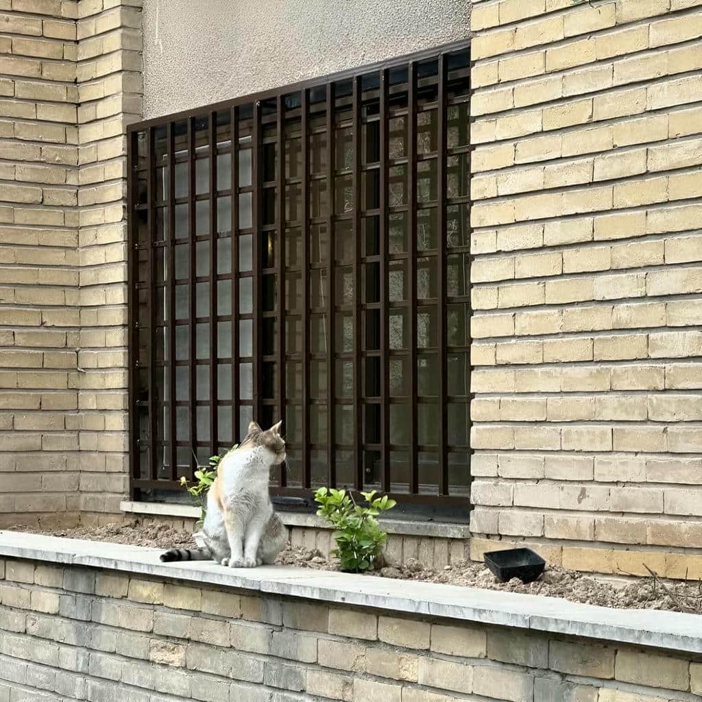فروش حفاظ پنجره فرفورژه ثابت در کردان