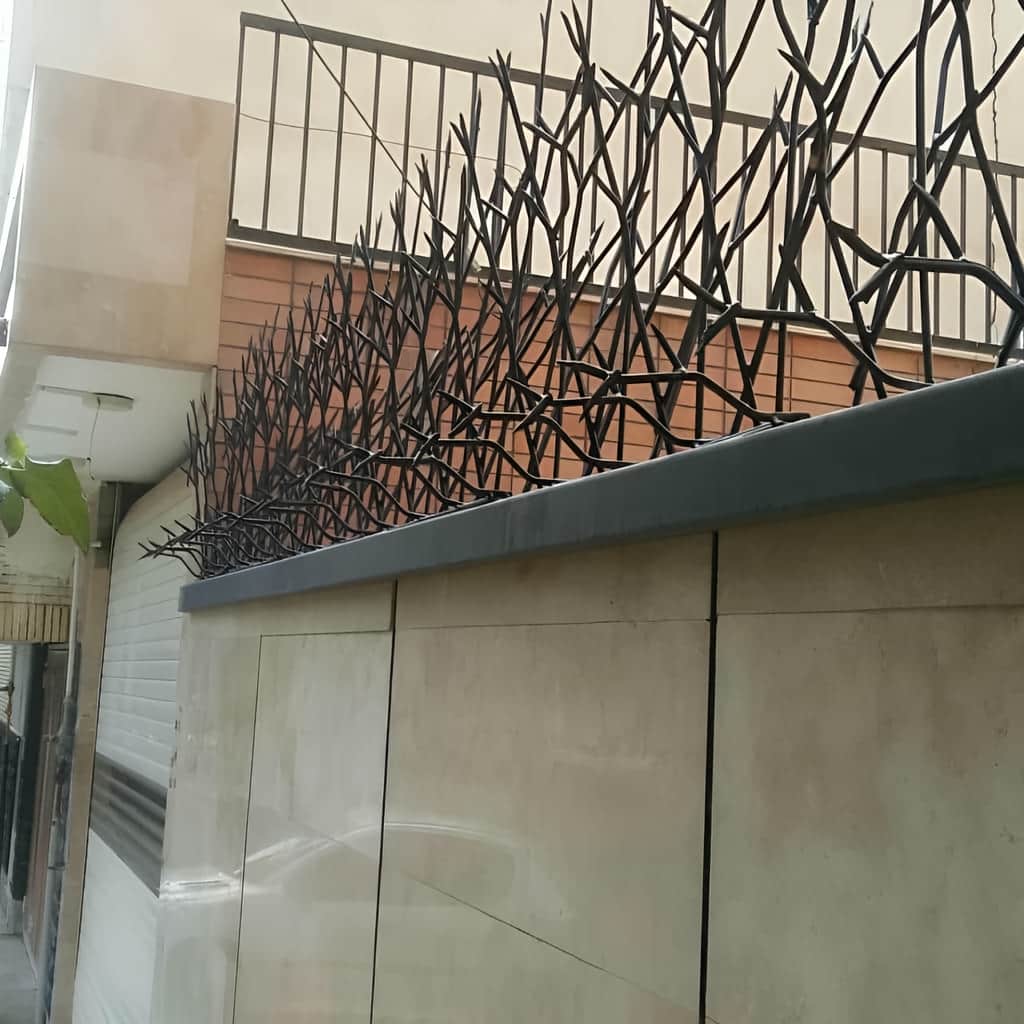 حفاظ شاخ گوزنی با رنگ آمیزی مناسب نما