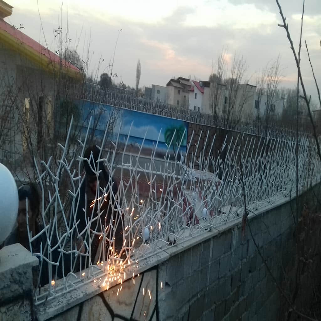حفاظ شاخ گوزنی خار دار با نصب محکم روی دیوار