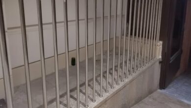 نرده تراس سفارشی فلزی برای دهانه بزرگ