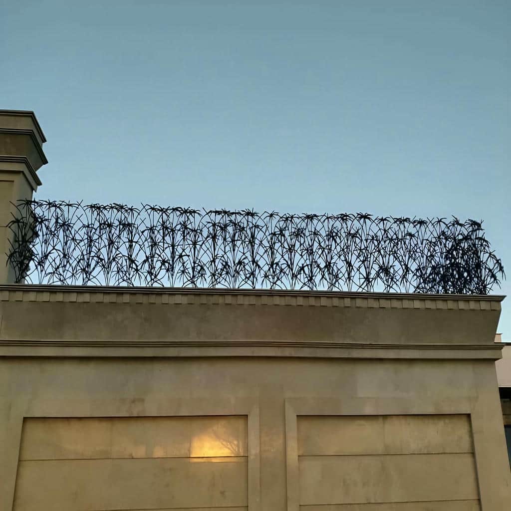 حفاظ نخل مرداب آماده بررسی سفارش اینترنتی