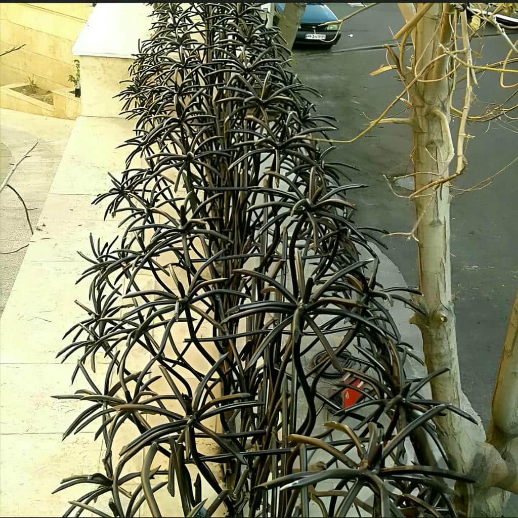 حفاظ نخل مرداب هماهنگ با نمای بیرونی