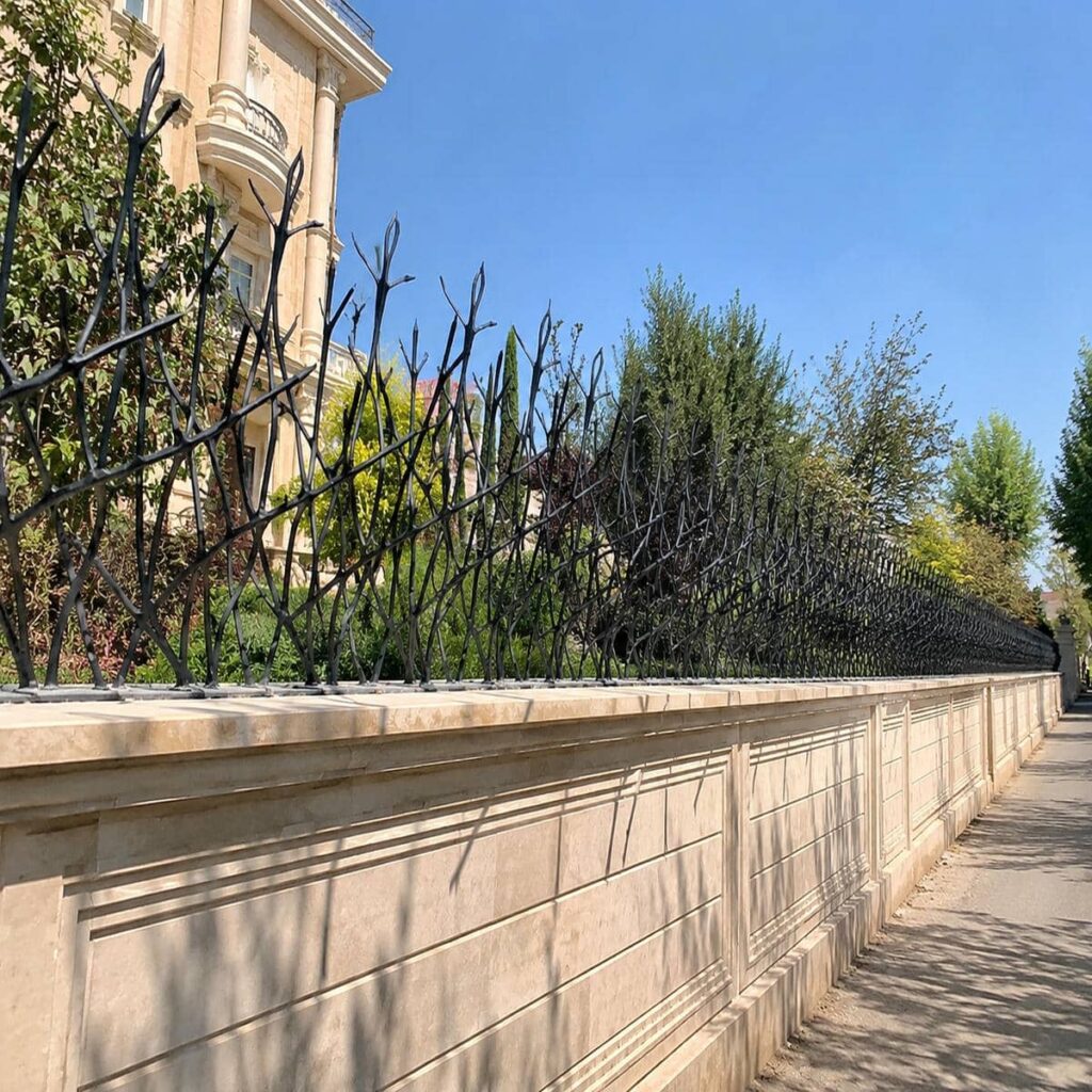 حفاظ دیوار شاخه دار کنار گذر مشترک زاهدان