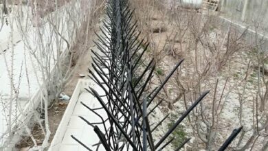 حفاظ دیوار مشکی روی حیاط آفتاب‌گیر بندرعباس